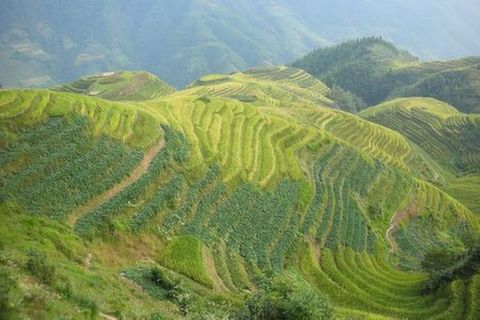 <桂林-阳朔-龙脊4日游>竹筏漓江，银子岩，市内全景（当地游）