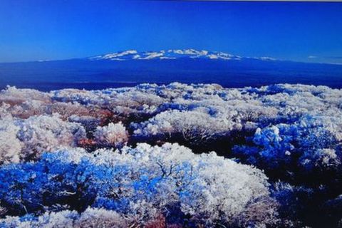 <吉林-长白山-鲜族民俗村2日游>感受圣山圣水的神奇（当地游）