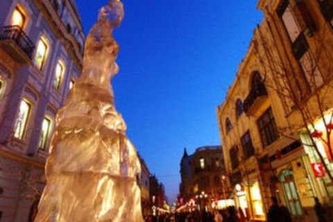 <哈尔滨1日游>登龙塔，看东北虎，游极地馆（当地游）