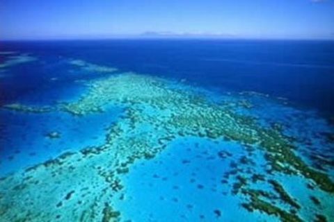 <澳新-凯墨12日游>库伦达雨林，Q1大厦，蓝山公园，畅收，减1000