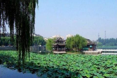 <南京-无锡-苏州-杭州-上海-乌镇6日游>上海参团