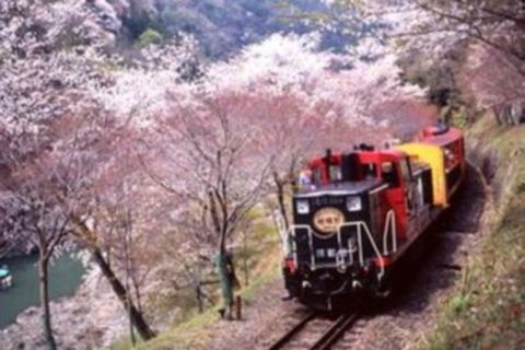<关西九州6日游>25人小团，熊本城赏樱，别府温泉