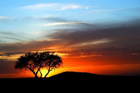 <肯尼亚9日游>宿鲁辛加岛，乘船游湖，马赛马拉，阿航