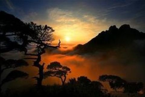 <婺源鸳鸯湖-三清山-烂柯山3日游>宿商务，已含价值288元门票