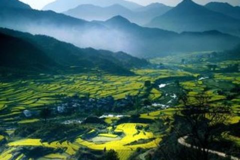 <婺源江岭梯田-鸳鸯湖2日游>精选最美梯田，赠游老街