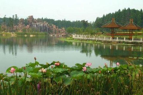 <常熟尚湖牡丹-虞山公园1日游>赏花踏青，仅售108