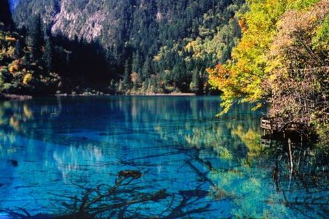 <成都九寨-黄龙-年保玉则-花湖8日游>不含大交通