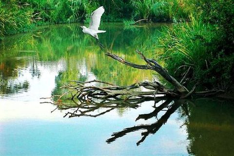 [国庆 杭州西湖-西溪印象摇橹船自驾2日游>宿杭州圣希罗大酒店