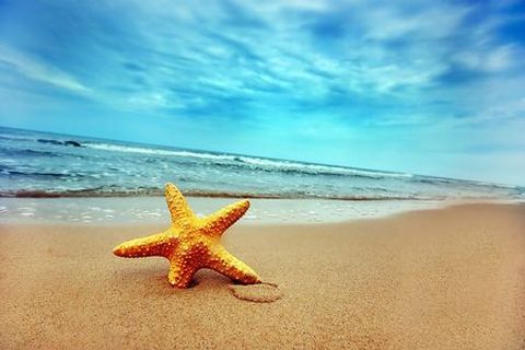 <海南5日游>鲸艳美人岛、梦幻蜈支洲、非Ⅱ天堂乐动出游（当地游）