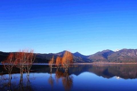 <昆明-大理-丽江6日游>舒心，养生，夕阳红（当地游）