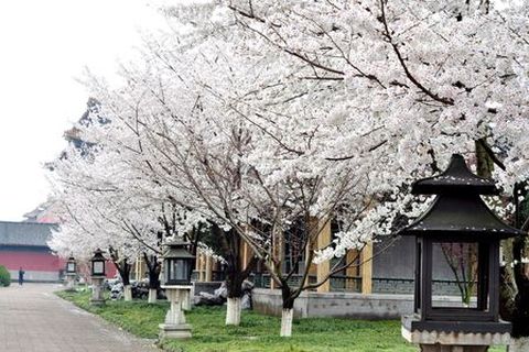 <横店秦王宫-清明上河图-明清民居博览城2日游>超值特价仅售418元