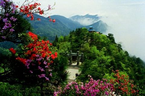 <庐山三叠泉东林大佛双卧5日游>两晚宿山上挂三，赠3大景点及二早