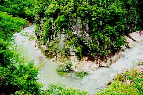 浙江漂流排名_浙江毒蛇排名图片(3)