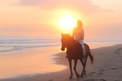 巴厘岛-文莱5晚6日半自助游 沙滩骑马或沙滩越