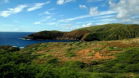 合作旅行社创新纵横美国全景游: 十三日纽约, 费