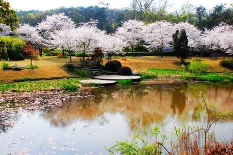 <华东五市-乌镇-锦溪双水乡双飞5日游>赠送金秋品蟹，人人有份