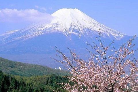 <日本本州6日游>双古都，冬季玩雪，豪华享受，赠明信片