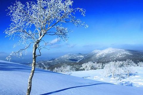 哈尔滨-亚布力-雪乡4日游 登大秃顶子山,赏雪乡