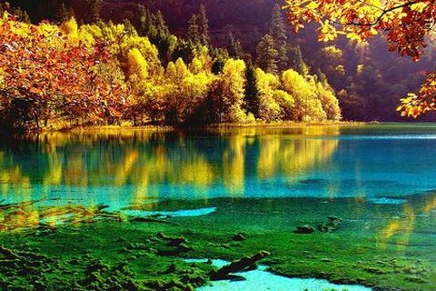 九寨沟-牟尼沟4日游 天天发团(当地游)_日照出