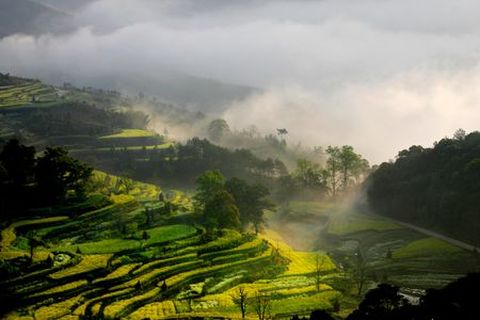 <婺源全景四绝2日游>门票全含，宿婺源高标商务