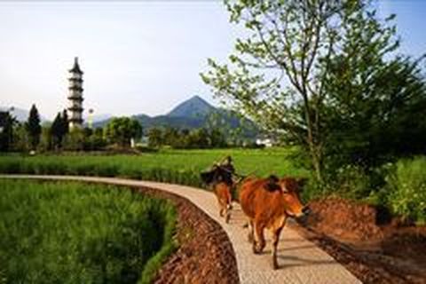 <富春江七里扬帆-葫芦峡漂流-新叶古村2日游>宿普标，赠早餐