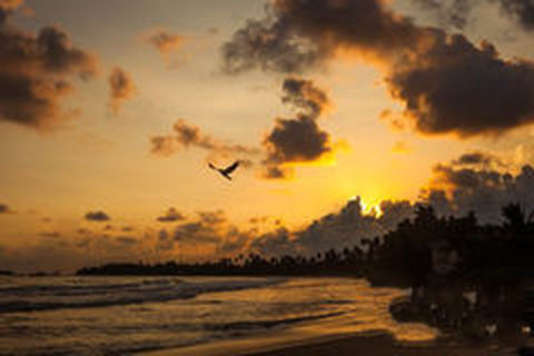 <斯里兰卡6晚8日半自助游>世界文化遗产，黄金砂糖海滩，港龙航空