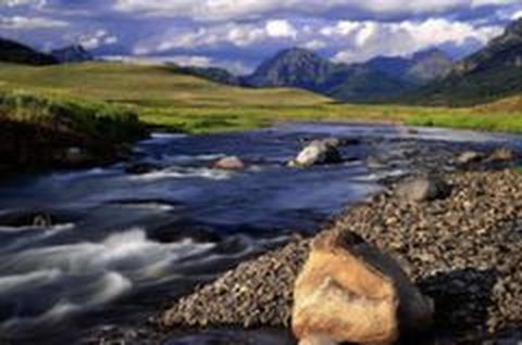 <美国东西海岸-黄石公园18日游>芝加哥，黄石3晚，哈佛麻省双名校