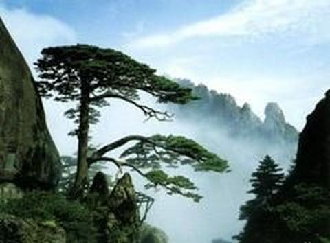 <黄山全景2日游>含门票赠景交，山上可升级