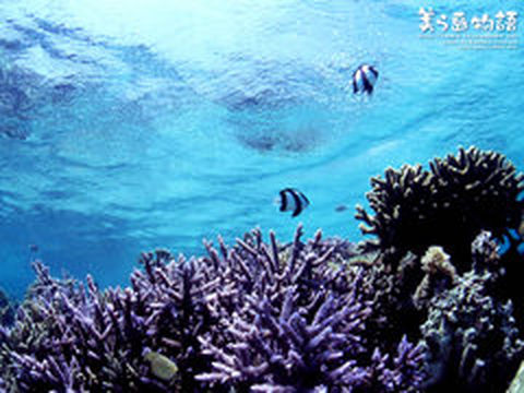 <大溪地8日自助游游>5晚波拉索菲特，1晚大溪地珍珠，北京出发