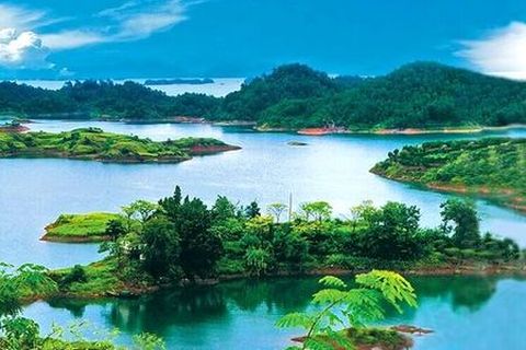 <千岛湖-富氧森林2日游>含门票游船，宿千岛湖四星商务，最低398