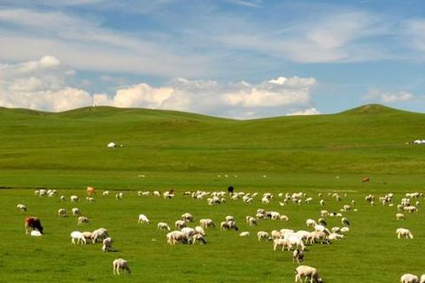 [国庆]<贡格尔草原-玉龙沙湖-青山冰臼双卧4日游>草原沙漠，篝火晚会