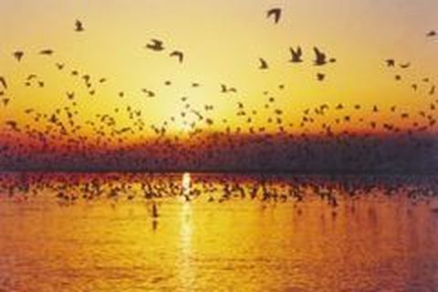 <九华山自助2日游>含车位及酒店，宿山上可升级，赠佛珠