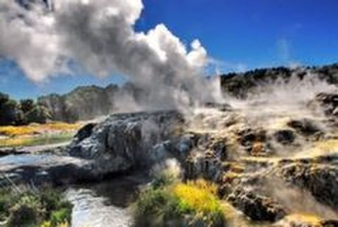 <新西兰北岛2日游>奥克兰罗托鲁（当地游）