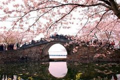 <华东六市双飞7日游>品早茶，逛宋城，赏夜景，全景江南