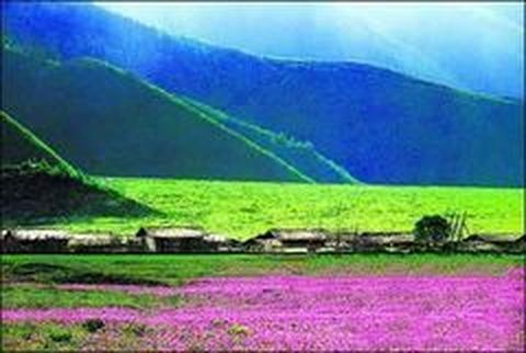 <香格里拉2日游>无购物，普达措，虎跳峡，含松赞林寺（当地游）