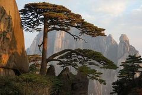 <黄山-宏村4日游>黄山参团，私家团，4人包团，山上住挂四星酒店