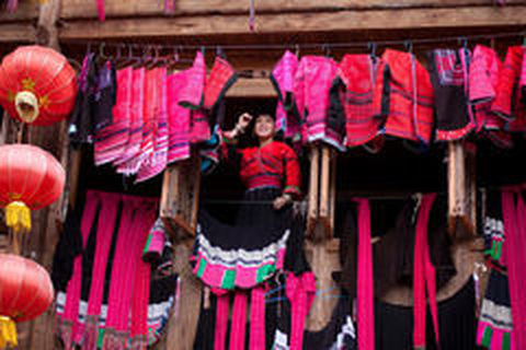 [元旦]<龙脊金坑大寨1日游>金秋龙脊，观梯田云雾（当地游）