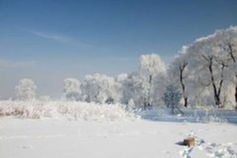 <巴厘岛-泰国8晚10日游>曼谷2晚希尔顿，2晚巴厘岛海边国际五星