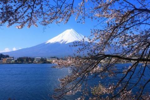 <日本大阪-京都-富士山-东京-名古屋6日游>1晚温泉，百选樱花景点