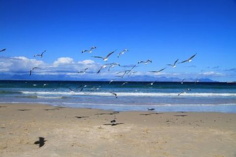 <南非花园大道10日游>南非或国泰航空，比邻斯堡，三晚特色酒店，民俗文化村