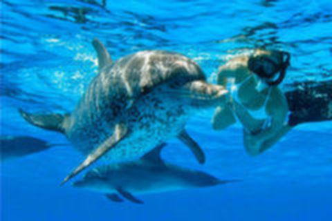 <澳凯墨11日游>蓝山，大堡礁，企鹅大阅兵，华纳兄弟电影世界