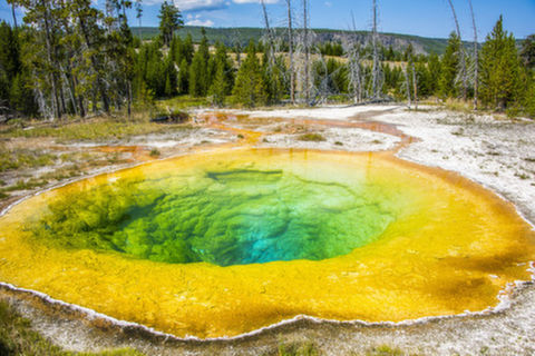 <全含不贵-美国东西海岸-黄石公园14-16日游>拒签无损退，无自费，无购物，赠大峡谷，布莱斯峡谷，鹿角公园，住拉斯大道