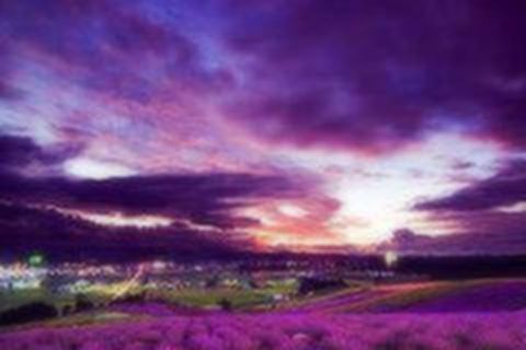 <美国西海岸旧金山洛杉矶3-6日游>旧金山入团（当地游）