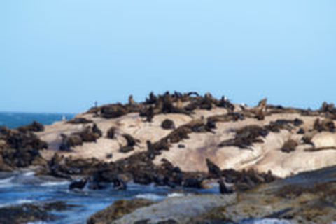 <南非9日游>杭州往返，五星卡塔尔航空，特色茅草屋顶酒店，法国小镇，信号山