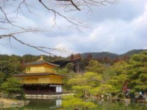 <东京-箱根-大阪-京都6日游>半天自由活动、日式温泉