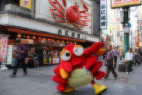 [端午]<日本本州5晚6日游>指定全日空直飞 AB行程富士山季节套餐精选 CD行程东京升级一天自由 家庭免担保 最高立减1500