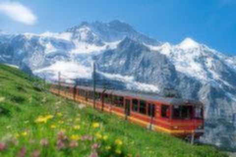 [端午]<法瑞意11-13日游>4到5星，一价全含，观景列车，雪山，可申请异地按指纹