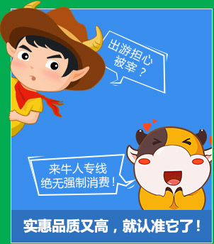 牛人专线,放肆牛