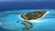 [马尔代夫伊露岛Irufushi4晚6日自助游]