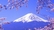 金泽-京都-大阪-爱知-箱根-东京-富山8日